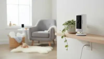 Smart Home Kameras: Sicherheit & Privatsphäre