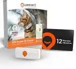 Weenect XS Paket | GPS-Halsband für Katzen – Schwarz | 1 Jahr Abonnement inklusive | Echtzeit-Tracking | Wasserdicht