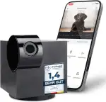 PetTec® Cam 360° Haustierkamera Hundekamera mit App [OHNE ABO-FALLE] - Katzen & Hunde Kamera Zuhause mit Bewegungserkennung & Nachtsichtfunktion - Full HD Rundumblick 360° Schwenken & Neigen - Pet Cam