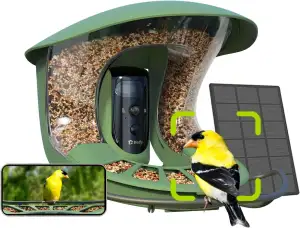 Birdfy 2 Pro Vogelfutterhaus mit 2K Dual Kamera, Live Vogelbeobachtung, KI Vogel