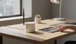 Z-Wave Controller: Optimal einrichten